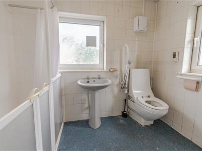 Picture 6